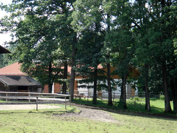 Fohlenaufzucht